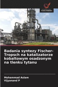 bokomslag Badania syntezy Fischer-Tropsch na katalizatorze kobaltowym osadzonym na tlenku tytanu