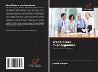 bokomslag Wspó¿praca mi¿dzygminna