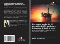bokomslag Recupero assistito di petrolio (EOR) mediante iniezione di CO2 in riser