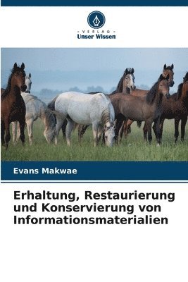 bokomslag Erhaltung, Restaurierung und Konservierung von Informationsmaterialien