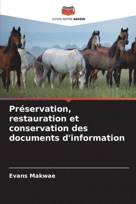 Préservation, restauration et conservation des documents d'information