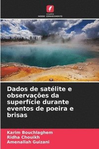 bokomslag Dados de satélite e observações da superfície durante eventos de poeira e brisas