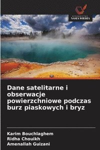 bokomslag Dane satelitarne i obserwacje powierzchniowe podczas burz piaskowych i bryz