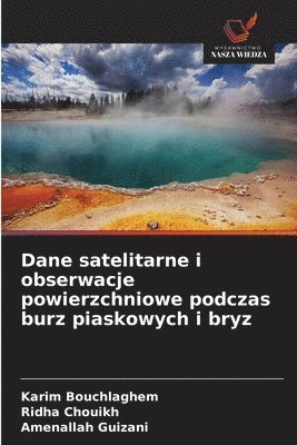 Dane satelitarne i obserwacje powierzchniowe podczas burz piaskowych i bryz