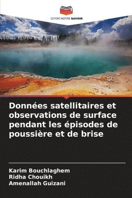 bokomslag Données satellitaires et observations de surface pendant les épisodes de poussière et de brise
