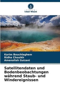 bokomslag Satellitendaten und Bodenbeobachtungen während Staub- und Windereignissen