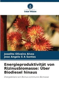bokomslag Energieproduktivität von Rizinusbiomasse: Über Biodiesel hinaus