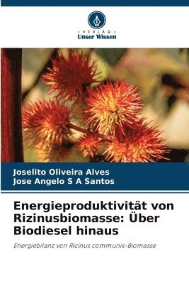 bokomslag Energieproduktivität von Rizinusbiomasse: Über Biodiesel hinaus