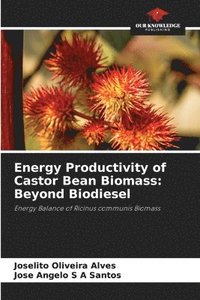bokomslag Energy Productivity of Castor Bean Biomass