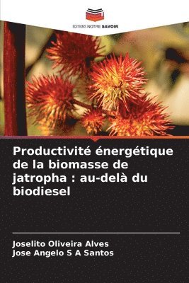 bokomslag Productivité énergétique de la biomasse de jatropha