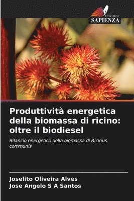 bokomslag Produttività energetica della biomassa di ricino