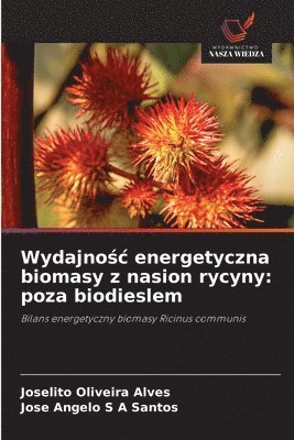 bokomslag Wydajno¿¿ energetyczna biomasy z nasion rycyny: poza biodieslem