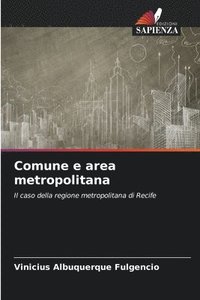bokomslag Comune e area metropolitana