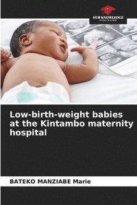 bokomslag Low-birth-weight babies at the Kintambo maternity hospital