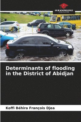 bokomslag Determinants of flooding in the District of Abidjan