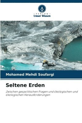 Mohamed Mehdi Soufargi - Seltene Erden, Häftad