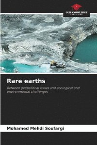 bokomslag Rare earths