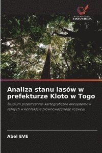 bokomslag Analiza stanu lasów w prefekturze Kloto w Togo