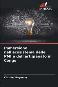bokomslag Immersione nell'ecosistema delle PMI e dell'artigianato in Congo