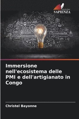 bokomslag Immersione nell'ecosistema delle PMI e dell'artigianato in Congo