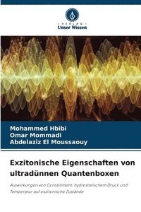 bokomslag Exzitonische Eigenschaften von ultradünnen Quantenboxen