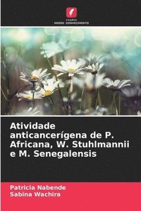bokomslag Atividade anticancerígena de P. Africana, W. Stuhlmannii e M. Senegalensis