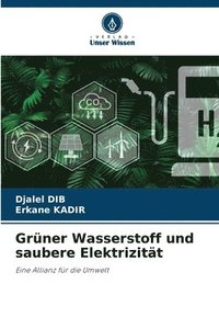 bokomslag Grüner Wasserstoff und saubere Elektrizität