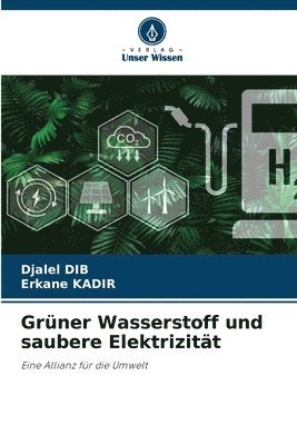 bokomslag Grüner Wasserstoff und saubere Elektrizität