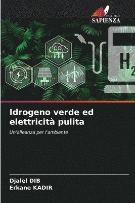 Djalel Dib, Erkane Kadir, Erkane KADIR - Idrogeno verde ed elettricità pulita, Häftad
