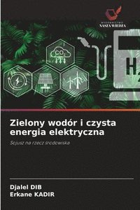 bokomslag Zielony wodór i czysta energia elektryczna