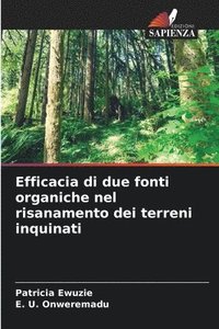 bokomslag Efficacia di due fonti organiche nel risanamento dei terreni inquinati