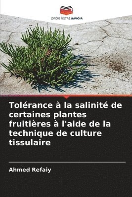 Tolérance à la salinité de certaines plantes fruitières à l'aide de la technique de culture tissulaire