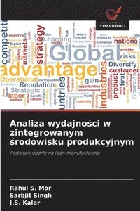 bokomslag Analiza wydajno?ci w zintegrowanym ?rodowisku produkcyjnym