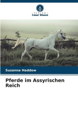 bokomslag Pferde im Assyrischen Reich