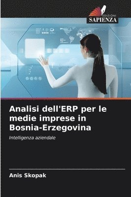 bokomslag Analisi dell'ERP per le medie imprese in Bosnia-Erzegovina