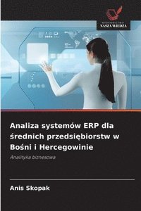 bokomslag Analiza systemów ERP dla ?rednich przedsi?biorstw w Bo?ni i Hercegowinie