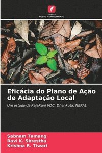 bokomslag Eficácia do Plano de Ação de Adaptação Local
