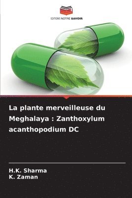 plante merveilleuse du Meghalaya