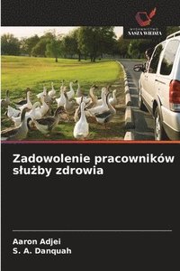 bokomslag Zadowolenie pracowników slu?by zdrowia