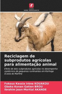 bokomslag Reciclagem de subprodutos agrícolas para alimentação animal