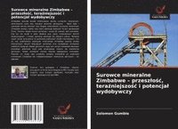 bokomslag Surowce mineralne Zimbabwe - przeszlo?c, tera?niejszo?c i potencjal wydobywczy