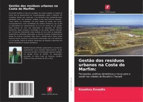 bokomslag Gestão dos resíduos urbanos na Costa do Marfim