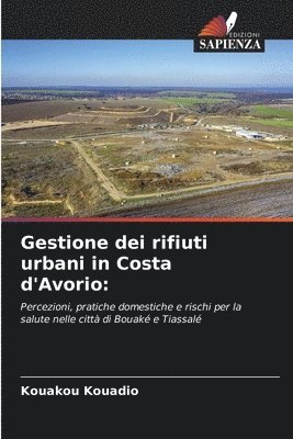 bokomslag Gestione dei rifiuti urbani in Costa d'Avorio