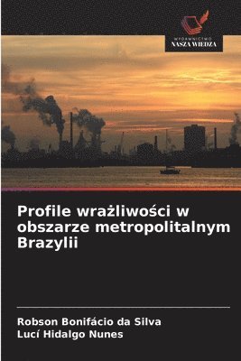 bokomslag Profile wra?liwo?ci w obszarze metropolitalnym Brazylii