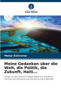 bokomslag Meine Gedanken über die Welt, die Politik, die Zukunft, Haiti...