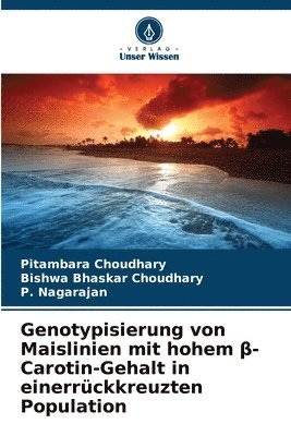 bokomslag Genotypisierung von Maislinien mit hohem ?-Carotin-Gehalt in einerrückkreuzten Population