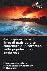 bokomslag Genotipizzazione di linee di mais ad alto contenuto di ?-carotene nella popolazione di backcross