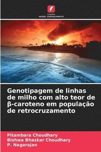 bokomslag Genotipagem de linhas de milho com alto teor de ?-caroteno em população de retrocruzamento