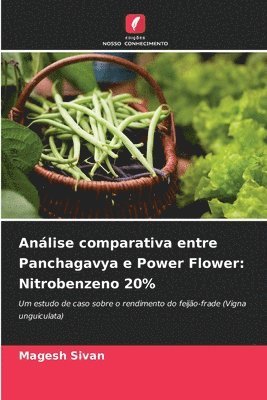 Magesh Sivan - Análise comparativa entre Panchagavya e Power Flower: Nitrobenzeno 20%, Häftad