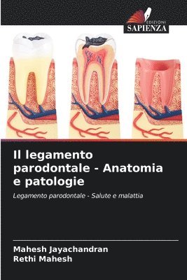 bokomslag Il legamento parodontale - Anatomia e patologie